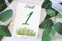 Kolekcja PODRÓŻ GÓRY LAS PAPROĆ