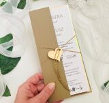 ZŁOTO-CIEMNY BEŻ OKŁADKA/ETUI DL - 2