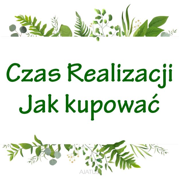 CZAS REALIZACJI