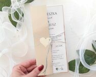 SREBRO-LUSTRZANE SREBRO OKŁADKA/ETUI DL - 4