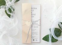 SREBRO-LUSTRZANE SREBRO OKŁADKA/ETUI DL - 3