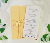 ZŁOTO-JASNY BEŻ OKŁADKA/ETUI DL - 3