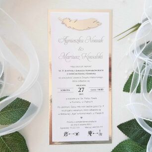 JKZ DL SREBRO PIÓRO 3D