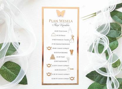 PLAN WESELA/WINIETKA MOTYL 3D