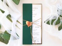 ZŁOTO-CIENA ZIELEŃ OKŁADKA/ETUI DL - 2